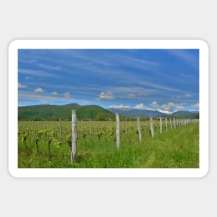 Spring Landscape Near Cividale del Friuli Sticker